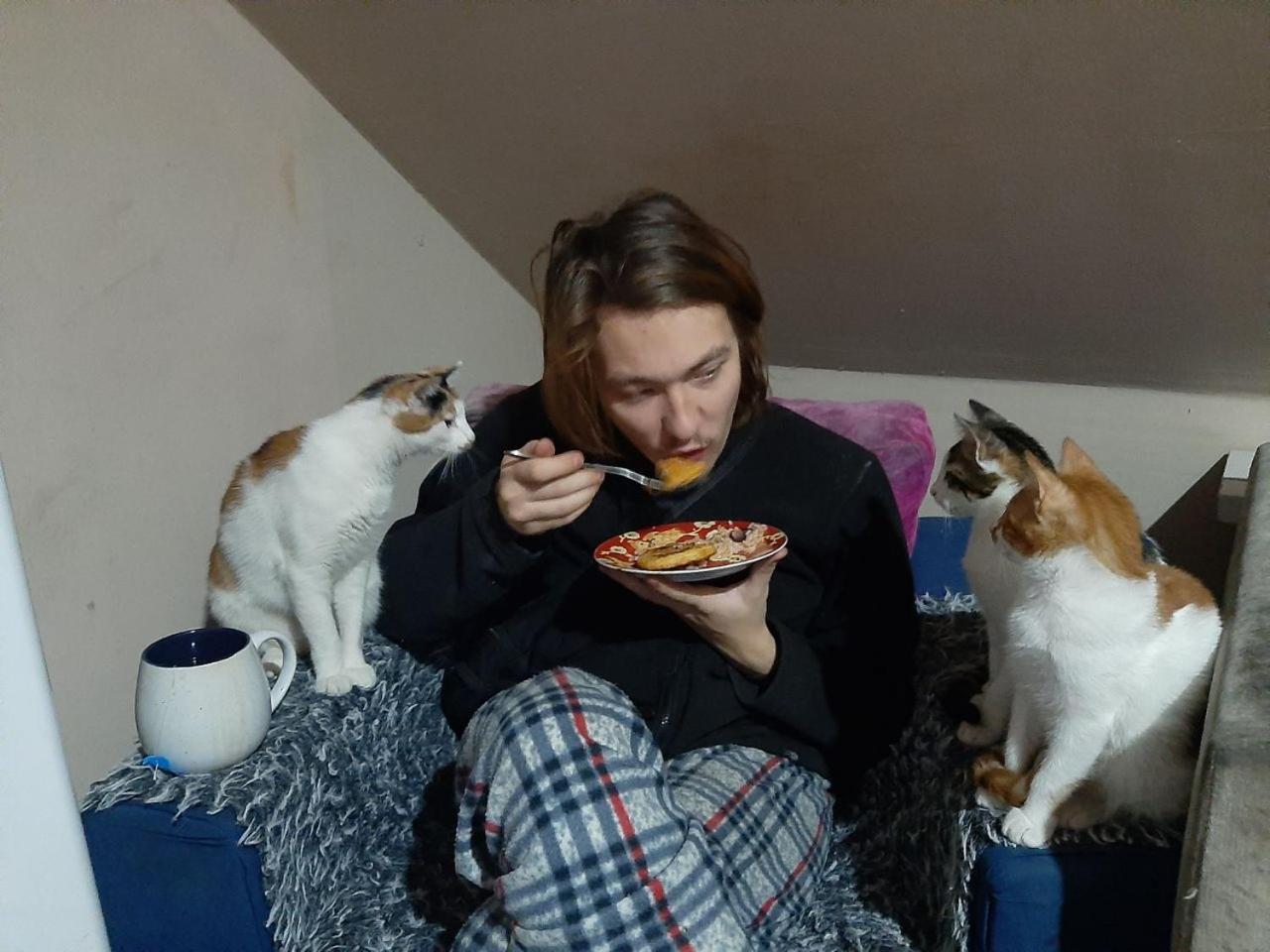 באטומי Everyday Cat Hostel מראה חיצוני תמונה