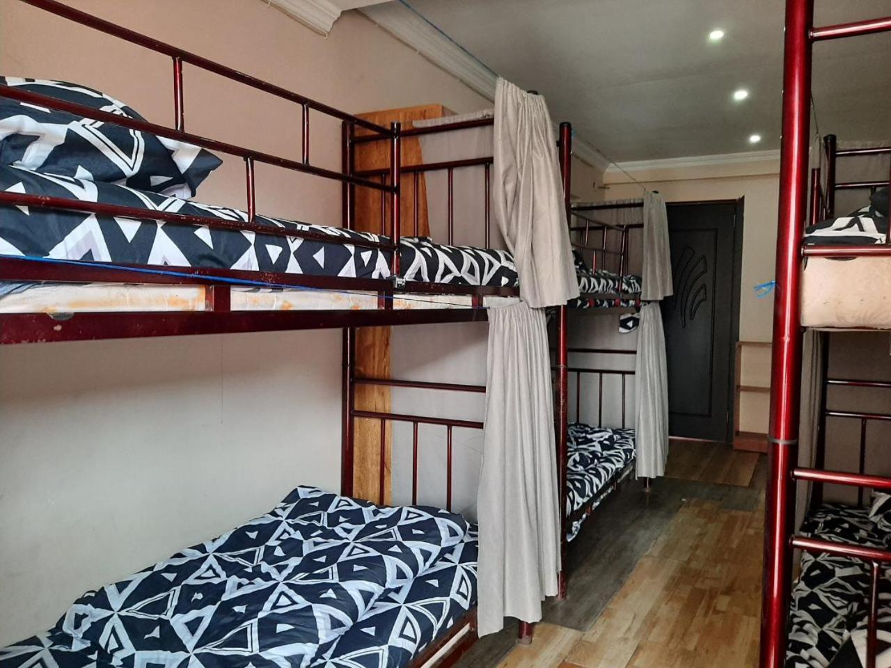 באטומי Everyday Cat Hostel מראה חיצוני תמונה