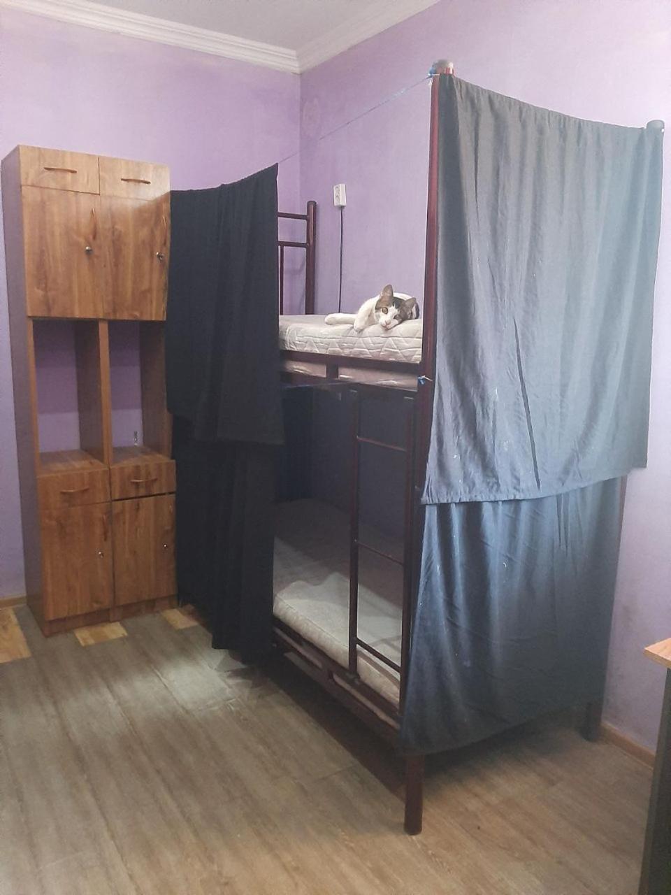באטומי Everyday Cat Hostel מראה חיצוני תמונה