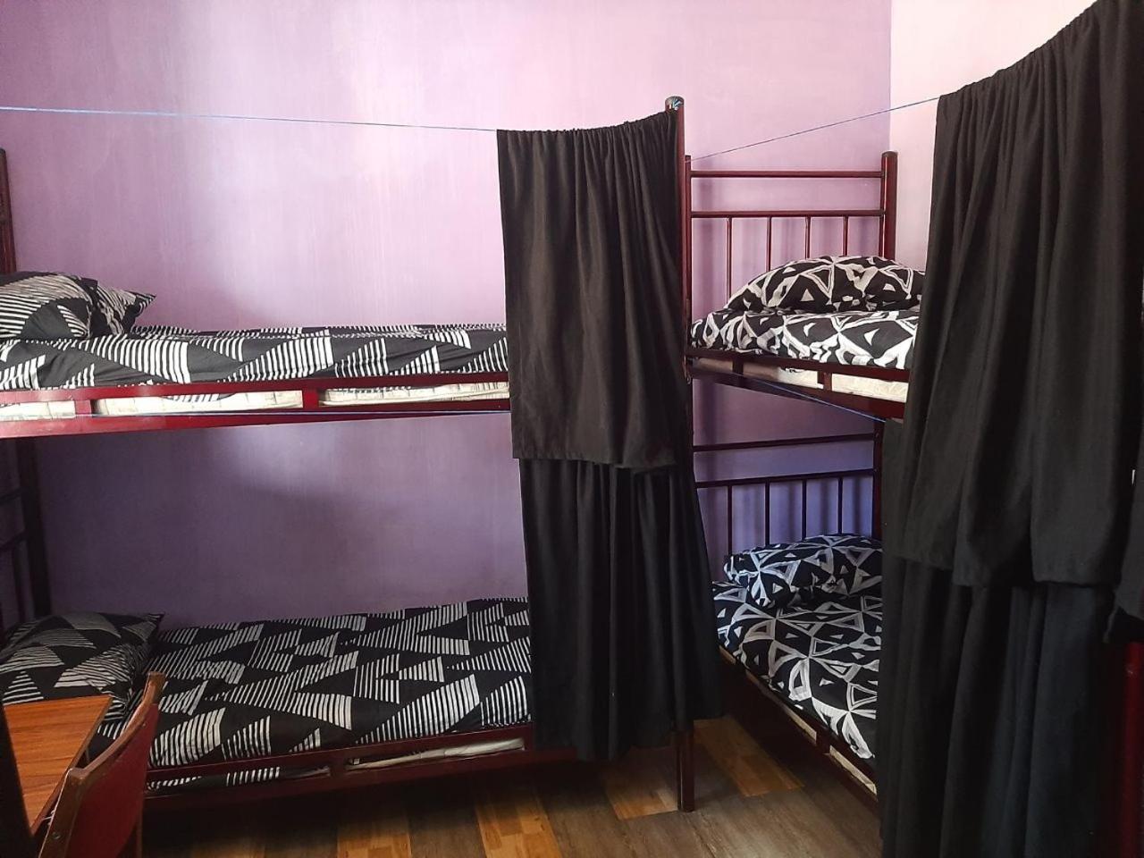 באטומי Everyday Cat Hostel מראה חיצוני תמונה