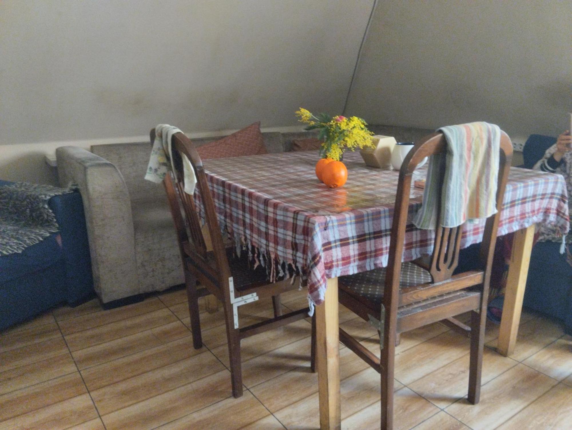 באטומי Everyday Cat Hostel מראה חיצוני תמונה