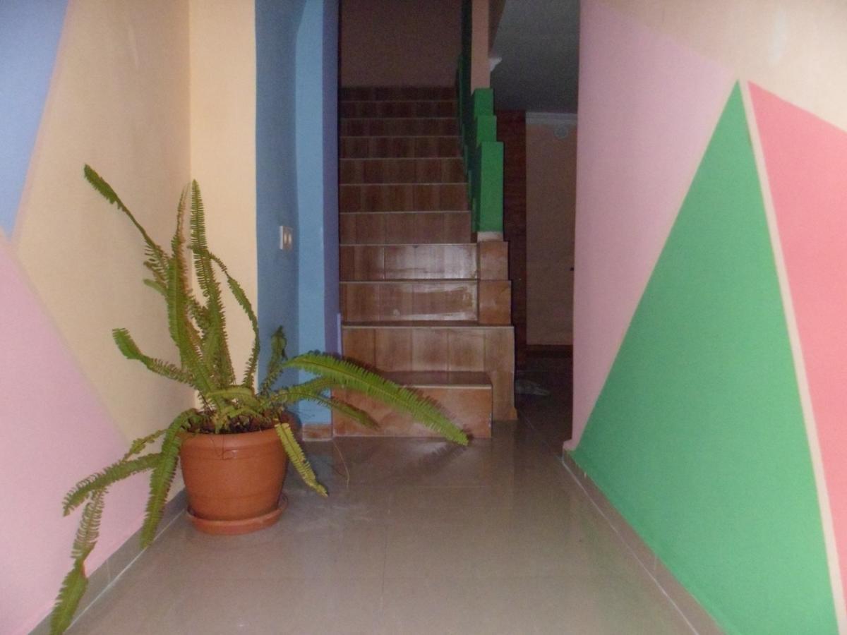 באטומי Everyday Cat Hostel מראה חיצוני תמונה