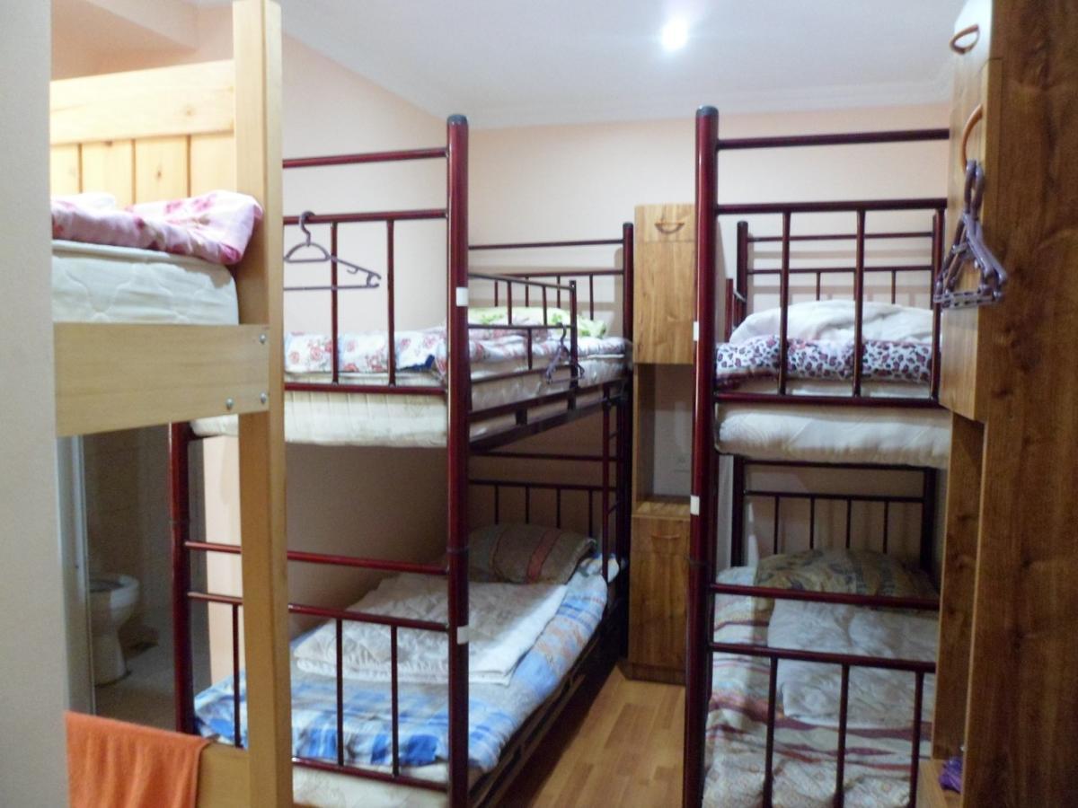 באטומי Everyday Cat Hostel מראה חיצוני תמונה